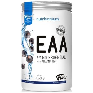 nutriversum eaa + b6 blackcurrant